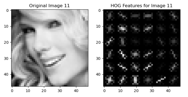 HOG Image Example